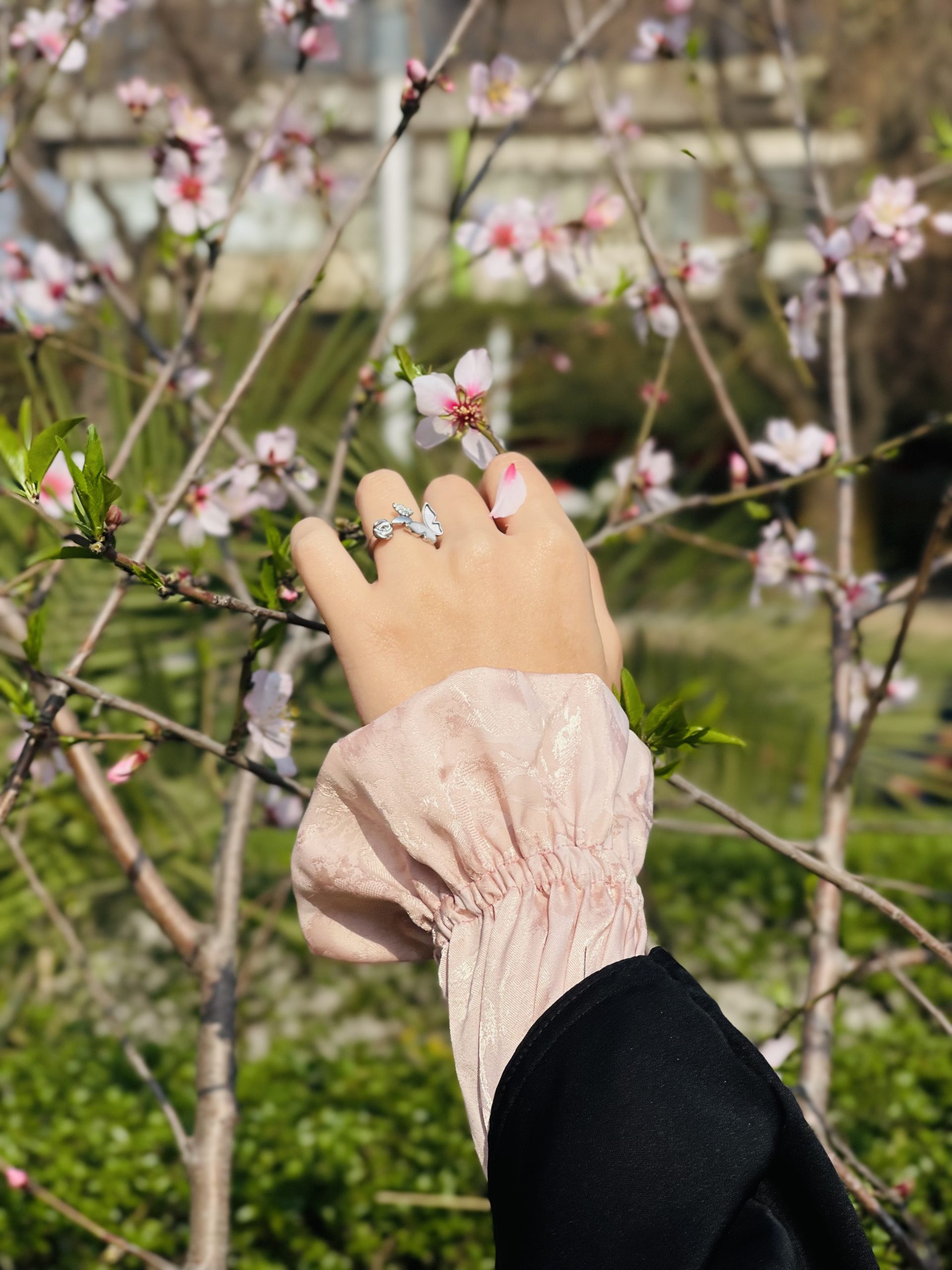 Sleeves and Scarf Set-a Set of Long Sleeves and Scarf - Image 2
